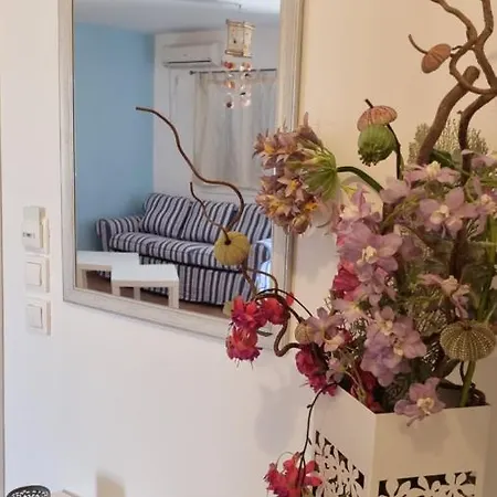 Apartment Sogno Greco